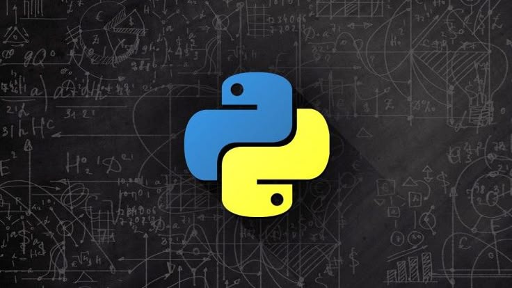 python python